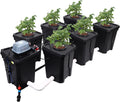 7-Gallon Recirculating Deep Water Culture Hydroponic System T7509