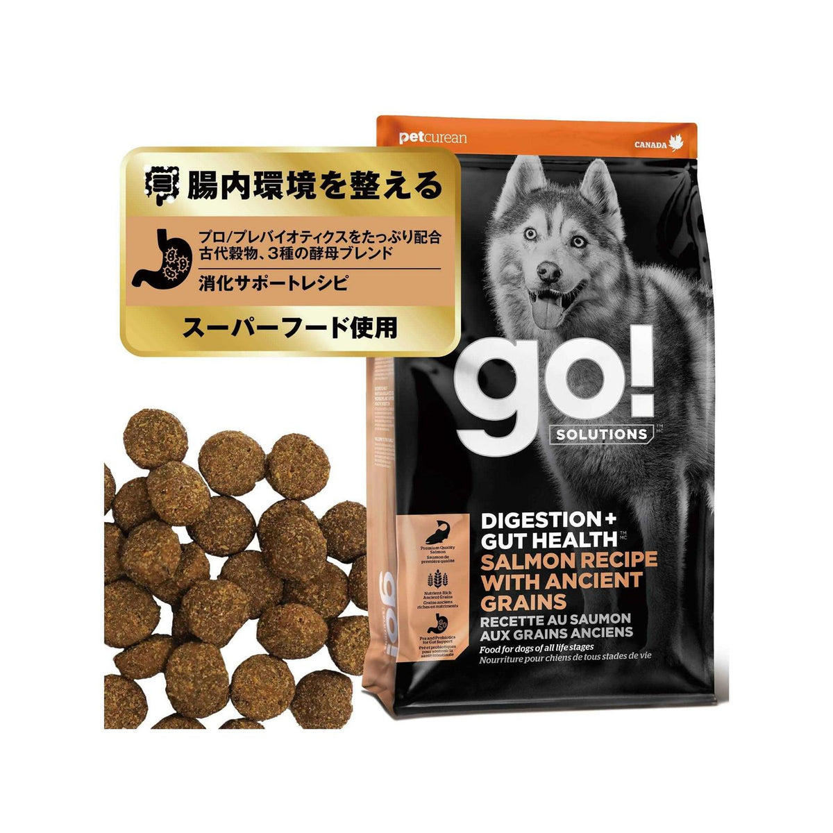 Salmon Recipe with Ancient Grains Dog Food N783807