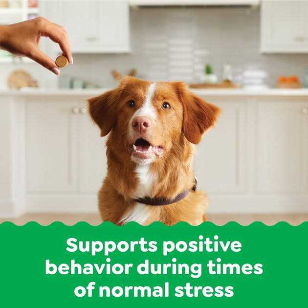 Calming Chews for Dogs Chicken Flavor B186161