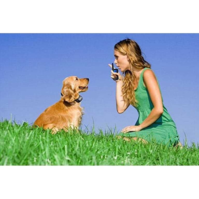 Shock Collar for Small Dogs with Remote N93125