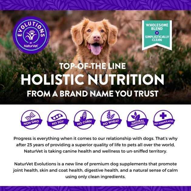 Soft Chew Supplement for adult Dogs A571495