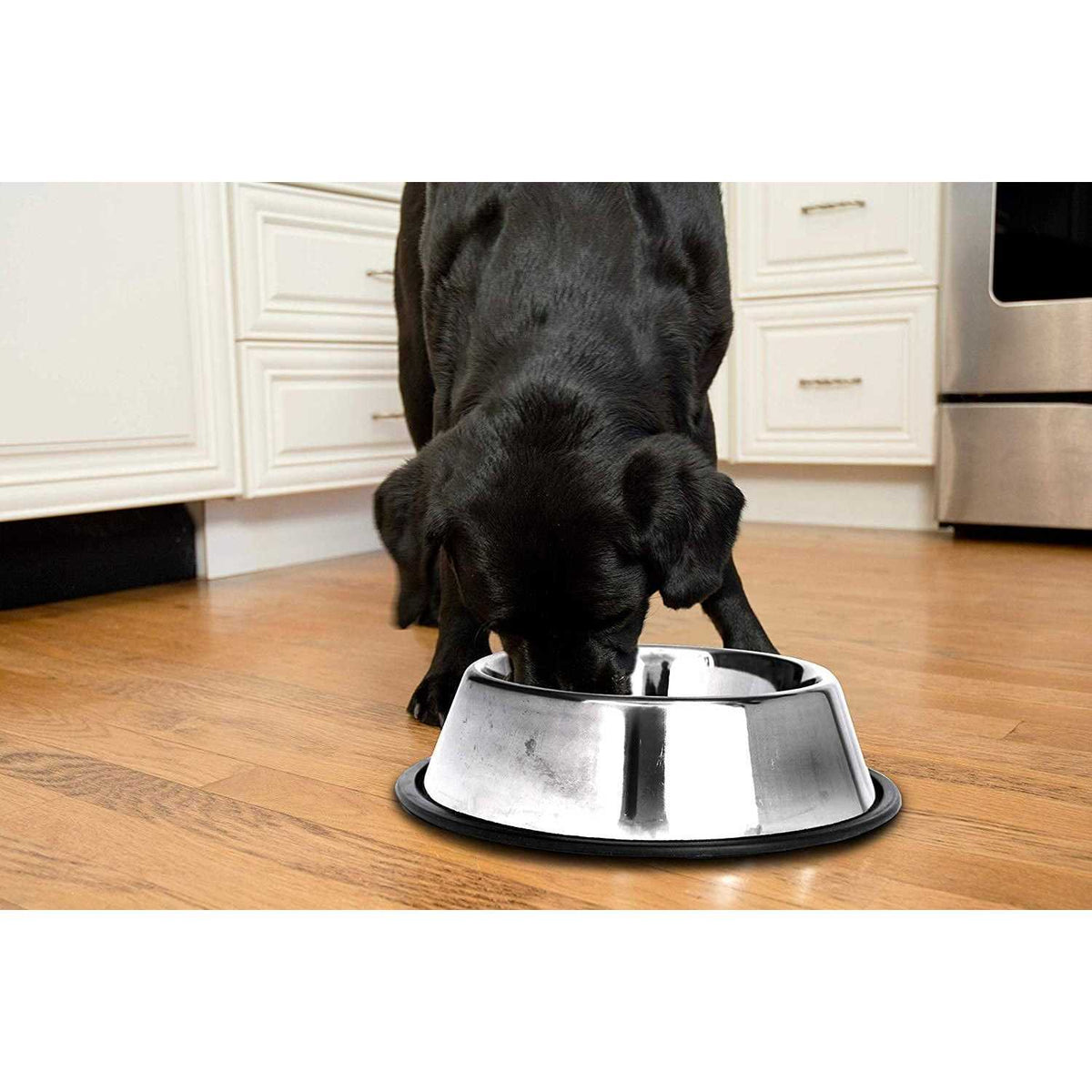 Stainless Steel Non-Skid Pet Bowl G65465