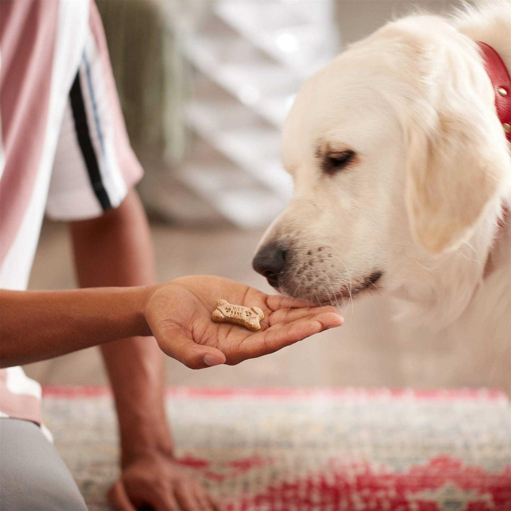 Dog Treats Z944139