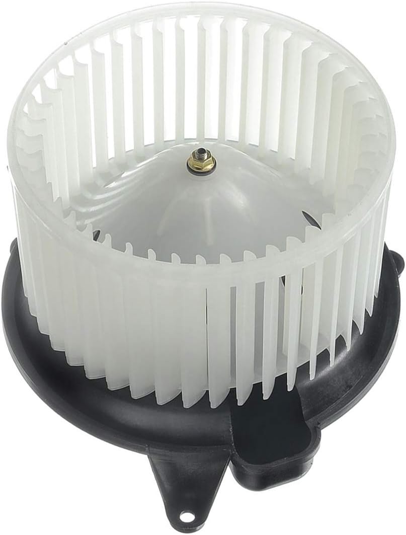 Heater Blower Motor with Fan Cage Pack of 2 T6768