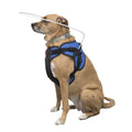 Blind Dog Halo Harness for Pets Over 30 lbs B981174