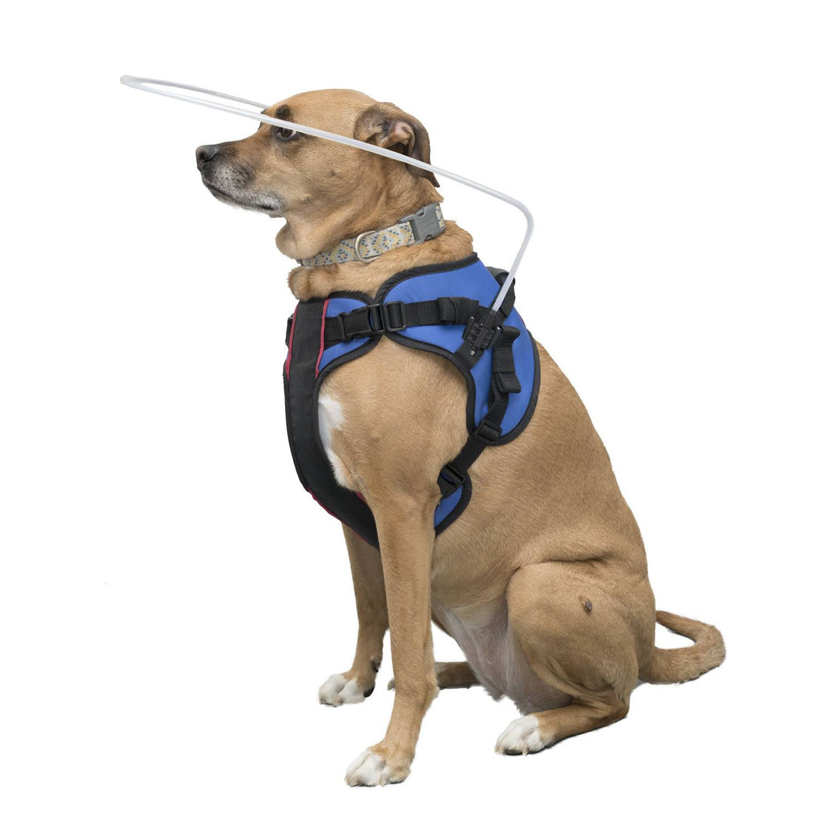 Blind Dog Halo Harness for Pets Over 30 lbs B981174
