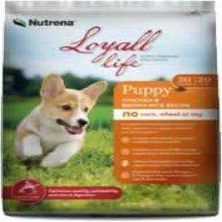 Chicken & Brown Rice Puppy O624995