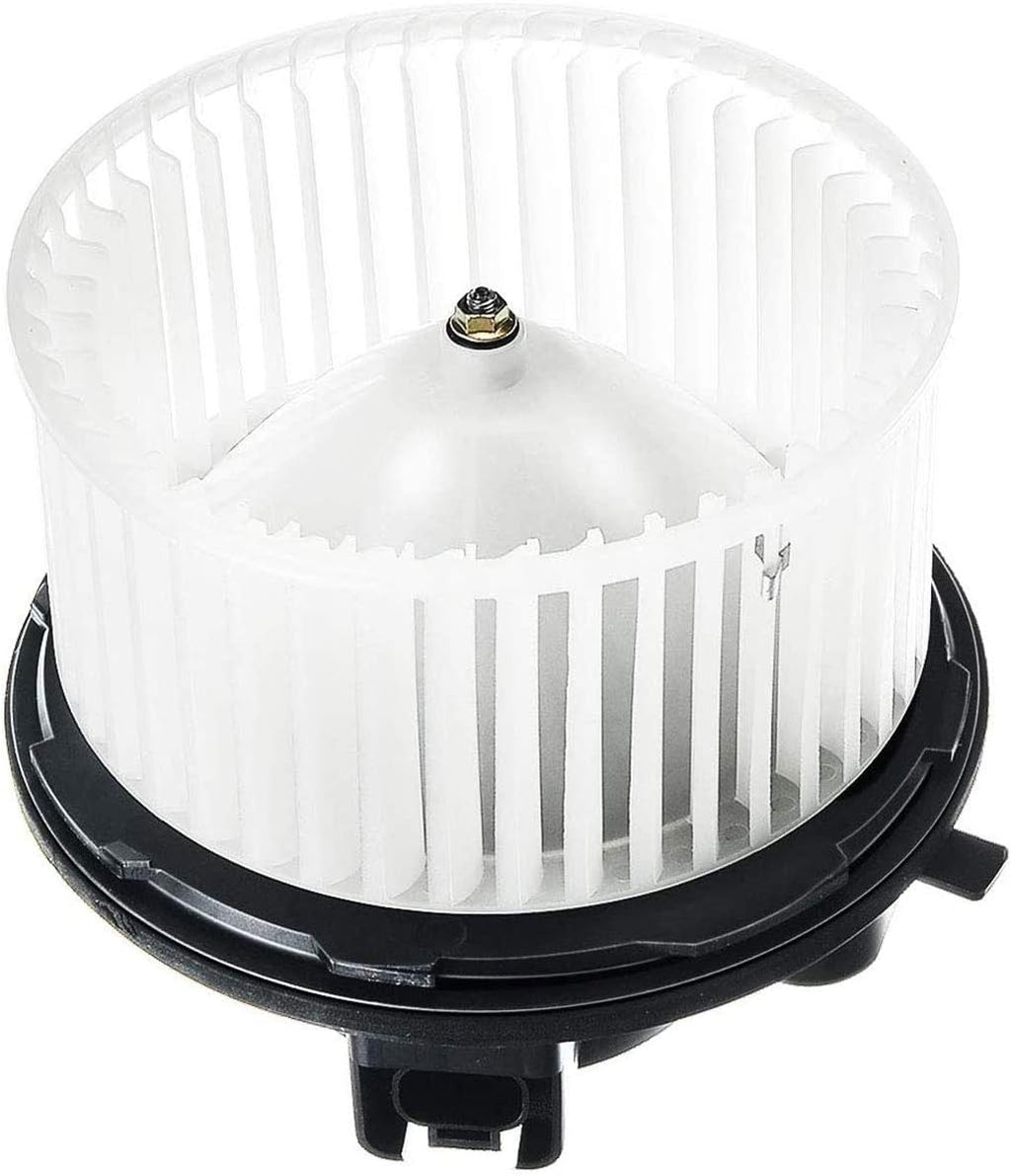 Heater Blower Motor with Fan Cage Pack of 2 T6768