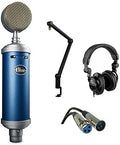 Large-Diaphragm Condenser Studio Microphone with Boom Arm and Headphone D754