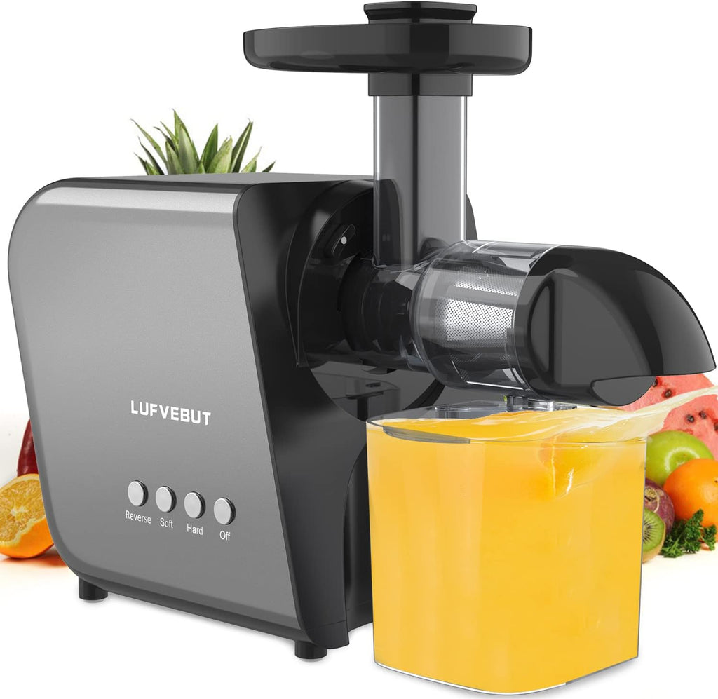 Slow Masticating Juicer Extractor with Cleaning Brush D869
