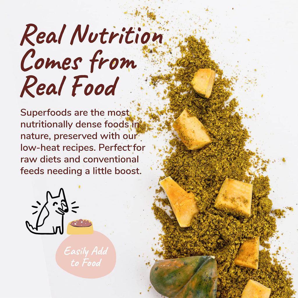 Organic Pumpkin Powder for Dogs & Cats 8 Oz N39960