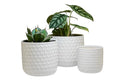 Ceramic Planters with Drainage Hole, Set of 3, Creamy-White H106