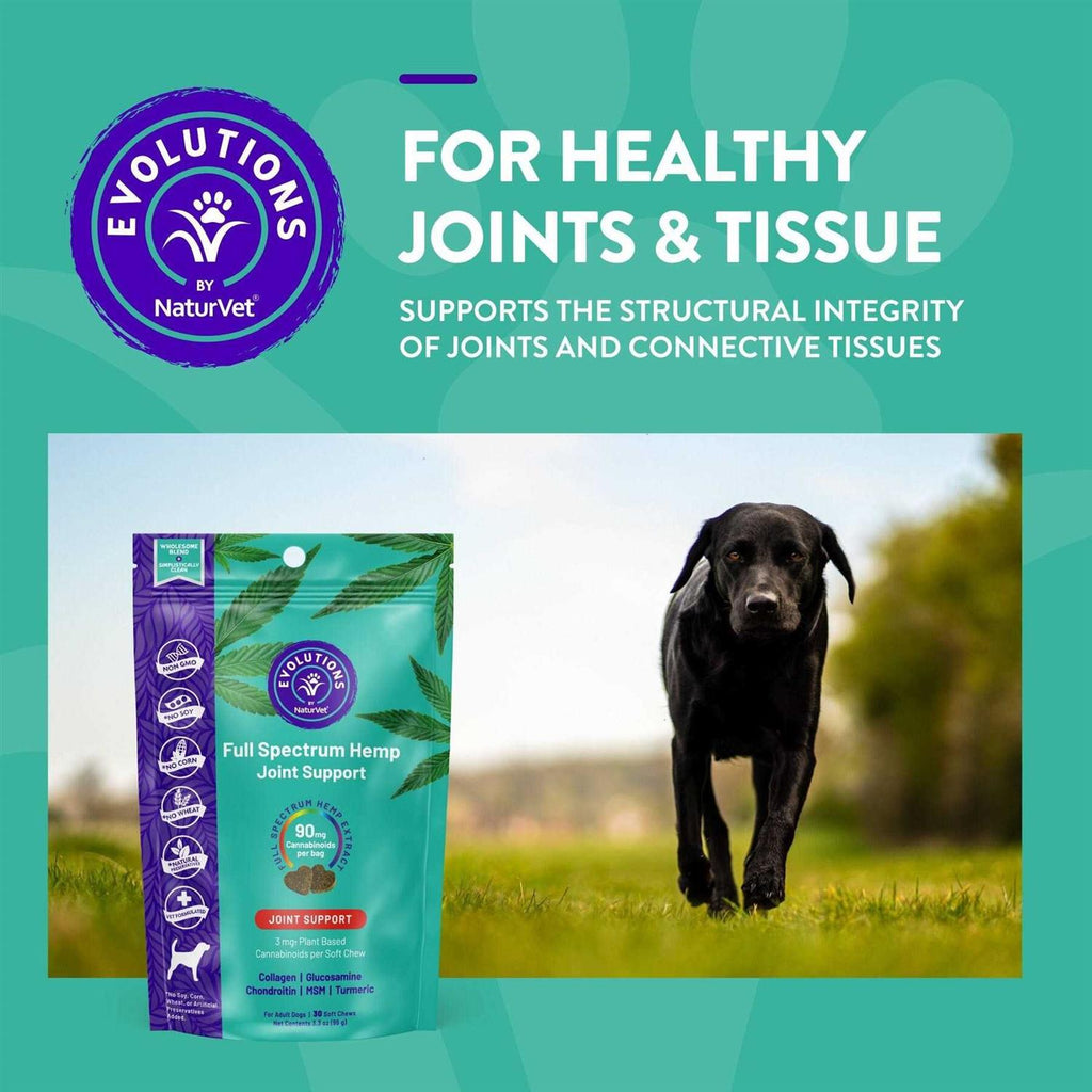 Soft Chew Supplement for adult Dogs A571495