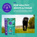 Soft Chew Supplement for adult Dogs A571495