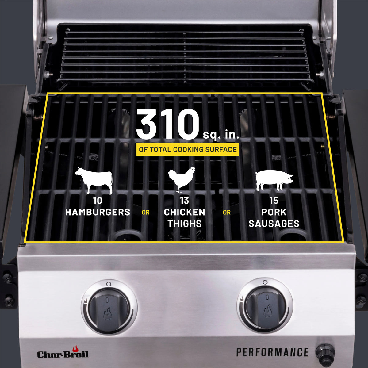 2-Burner Gas Grill X248572