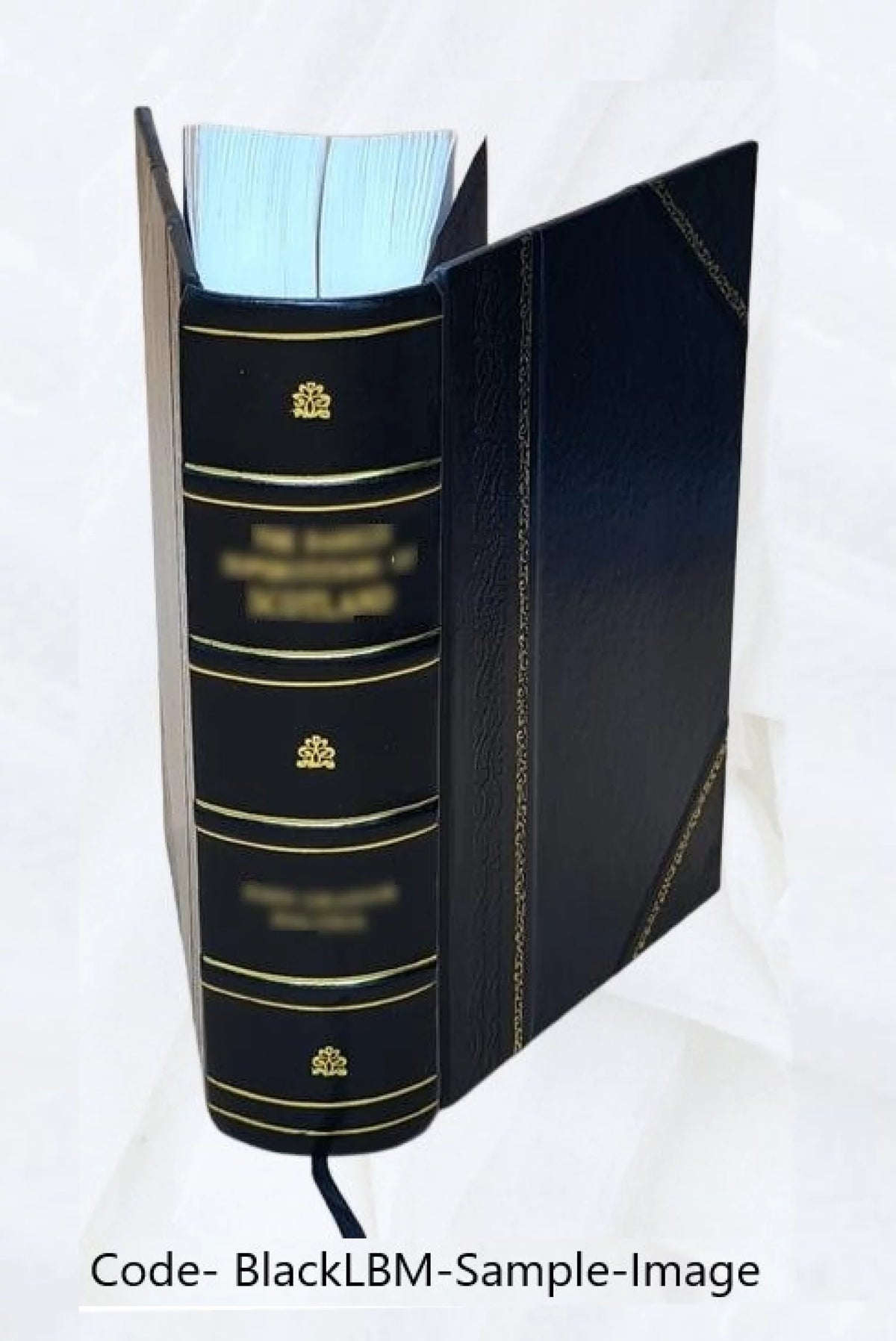 Leather Bound S4874