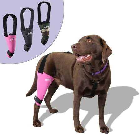 Dog & Cat Knee Brace B157674