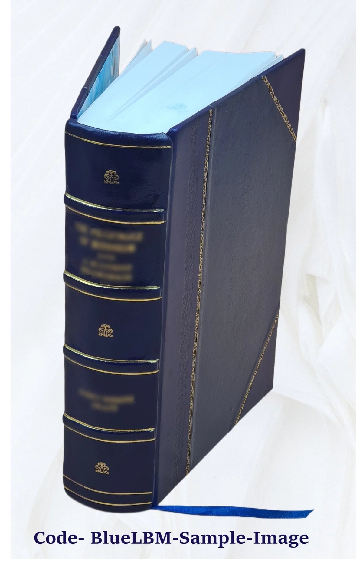 Leather Bound S4874