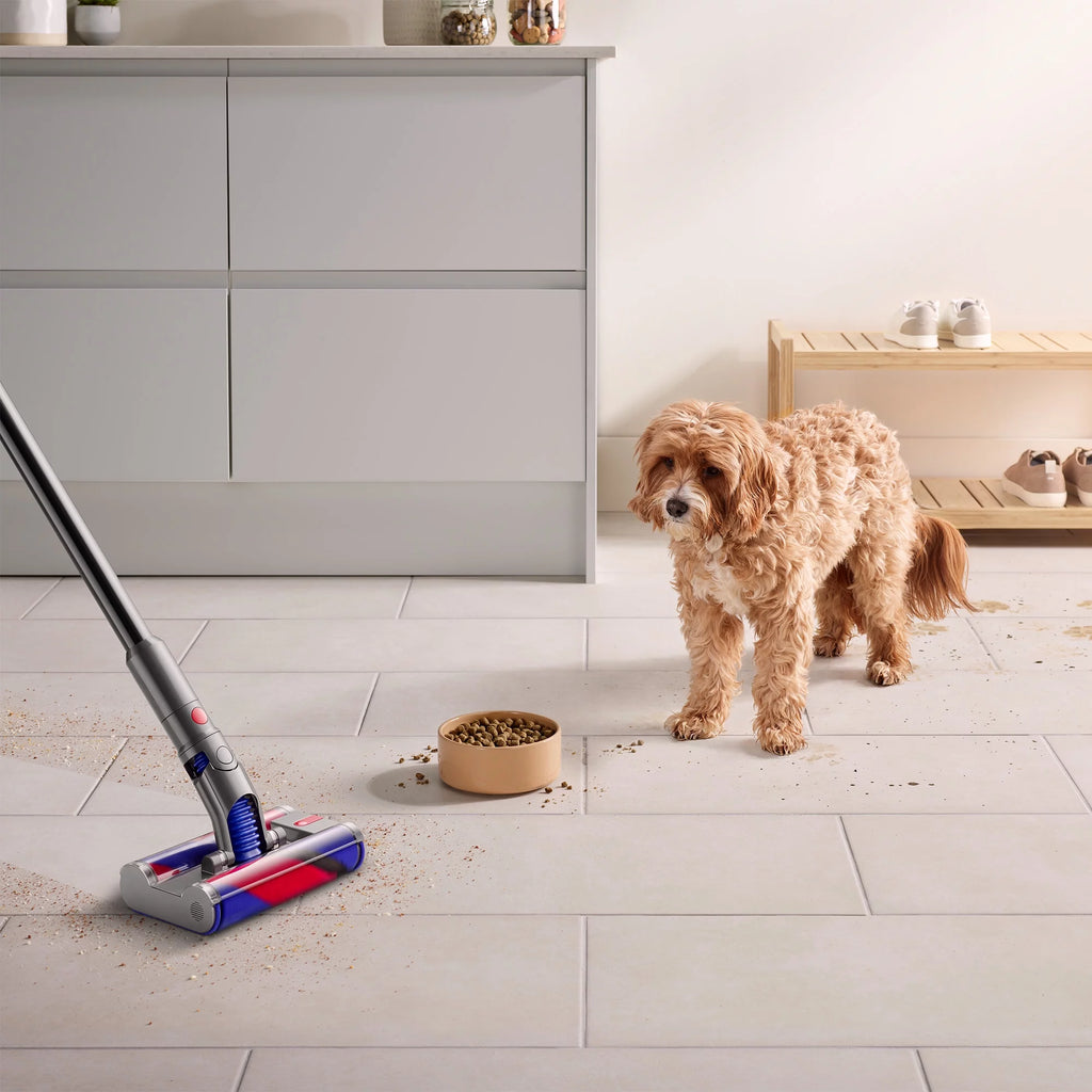 Cordless Vacuum R97573