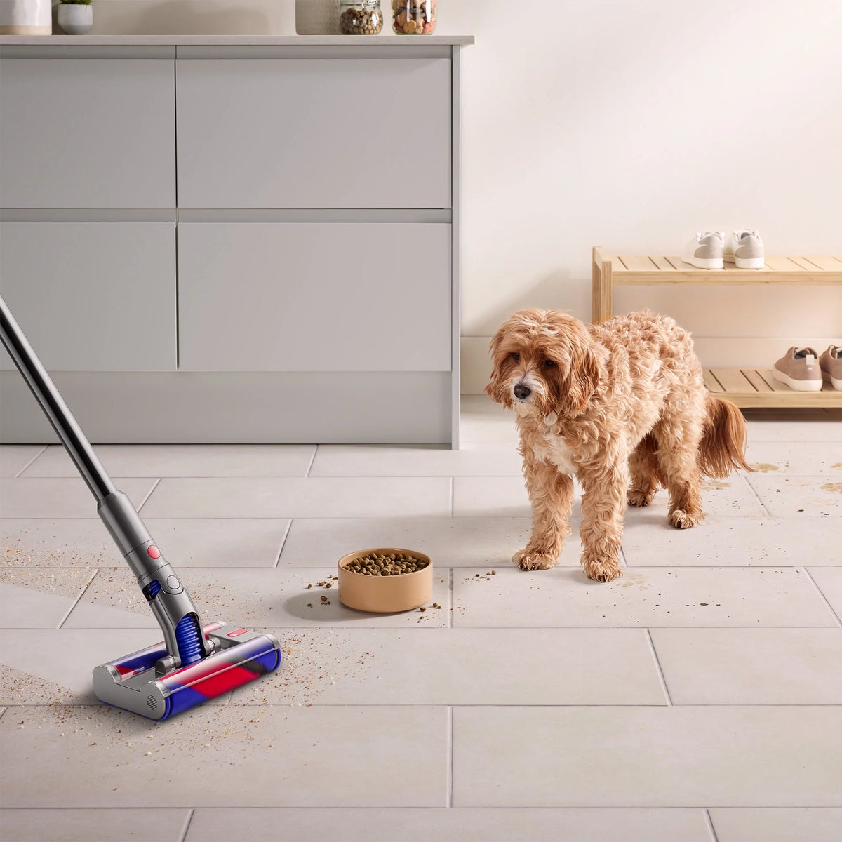Cordless Vacuum R97573