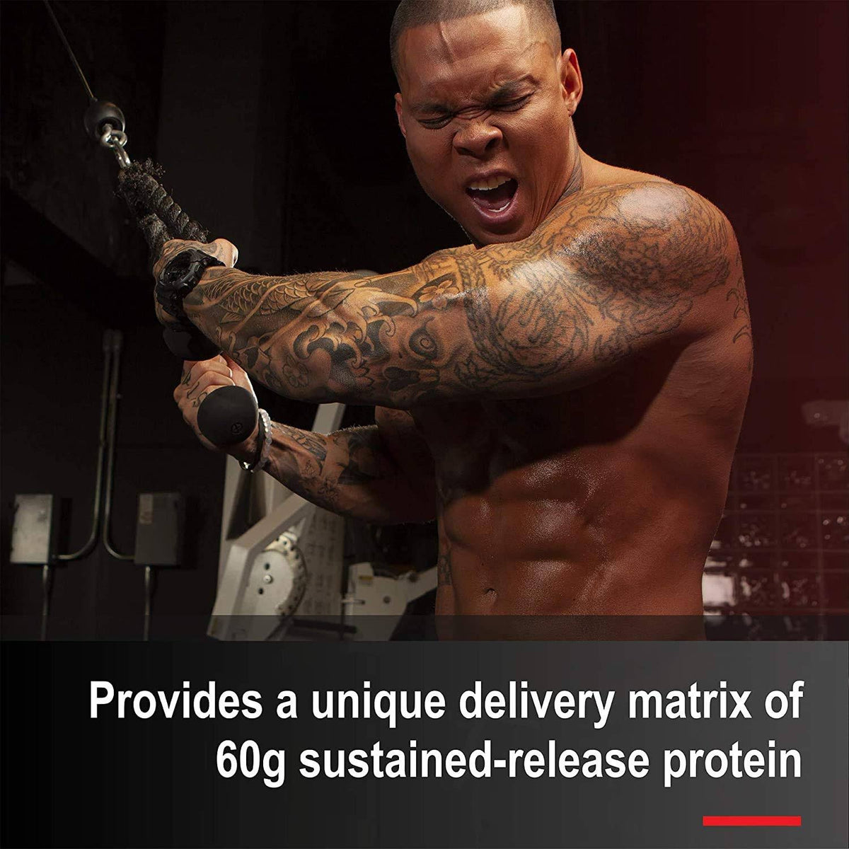 Vanilla 12 lb Mass Gainer P58039