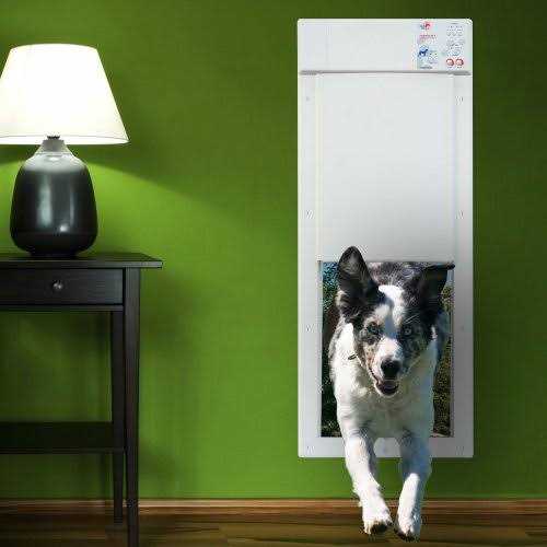 Motorized Pet Door X579