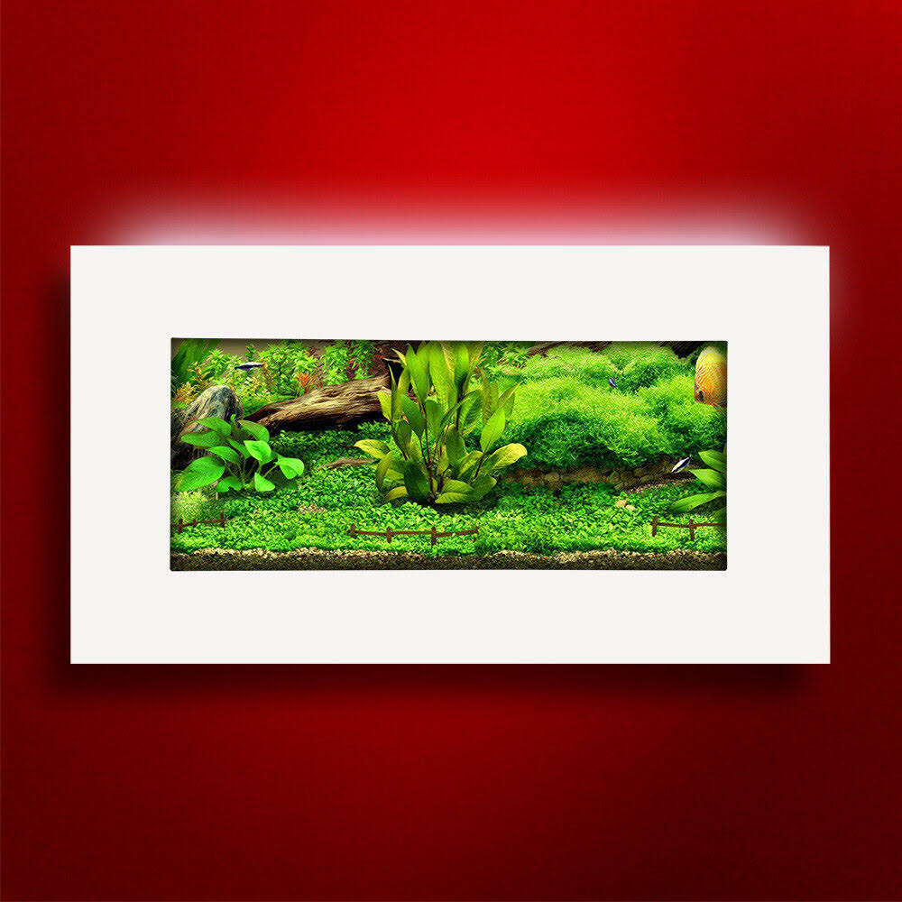 Brushed Silver Wall Mounted Aquarium M506955