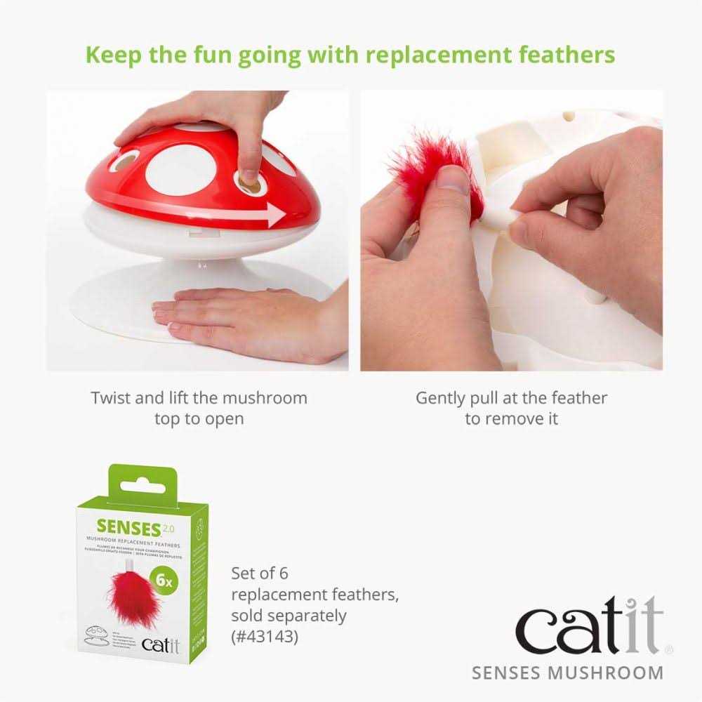 Interactive Cat Toy W641