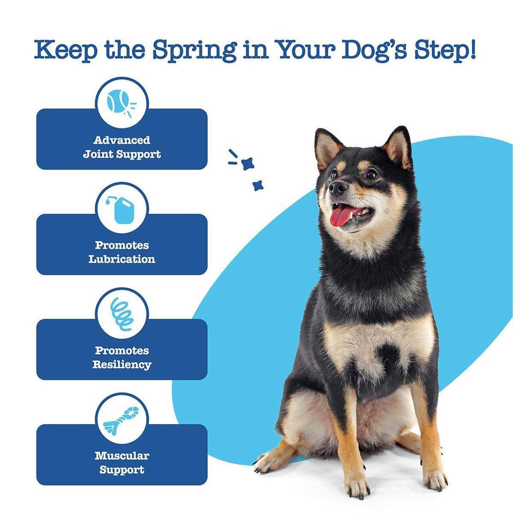 Hip Joint Mobility Bites for Senior Dogs X543496