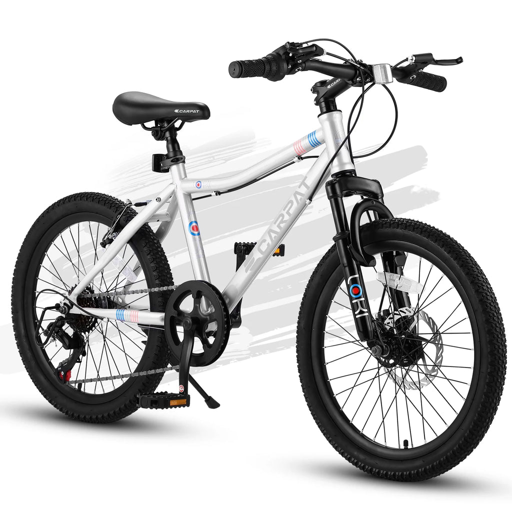 20 inch 7 Speed Kids Bicycle Y7690