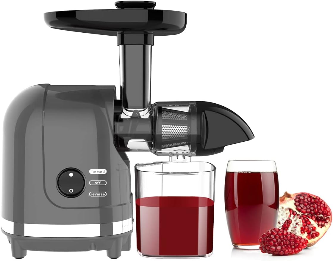 Slow Masticating Juicer Extractor with Cleaning Brush D869