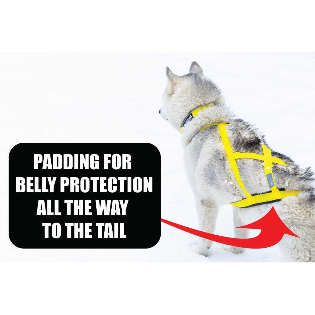 Dog Pulling Harness Y7635