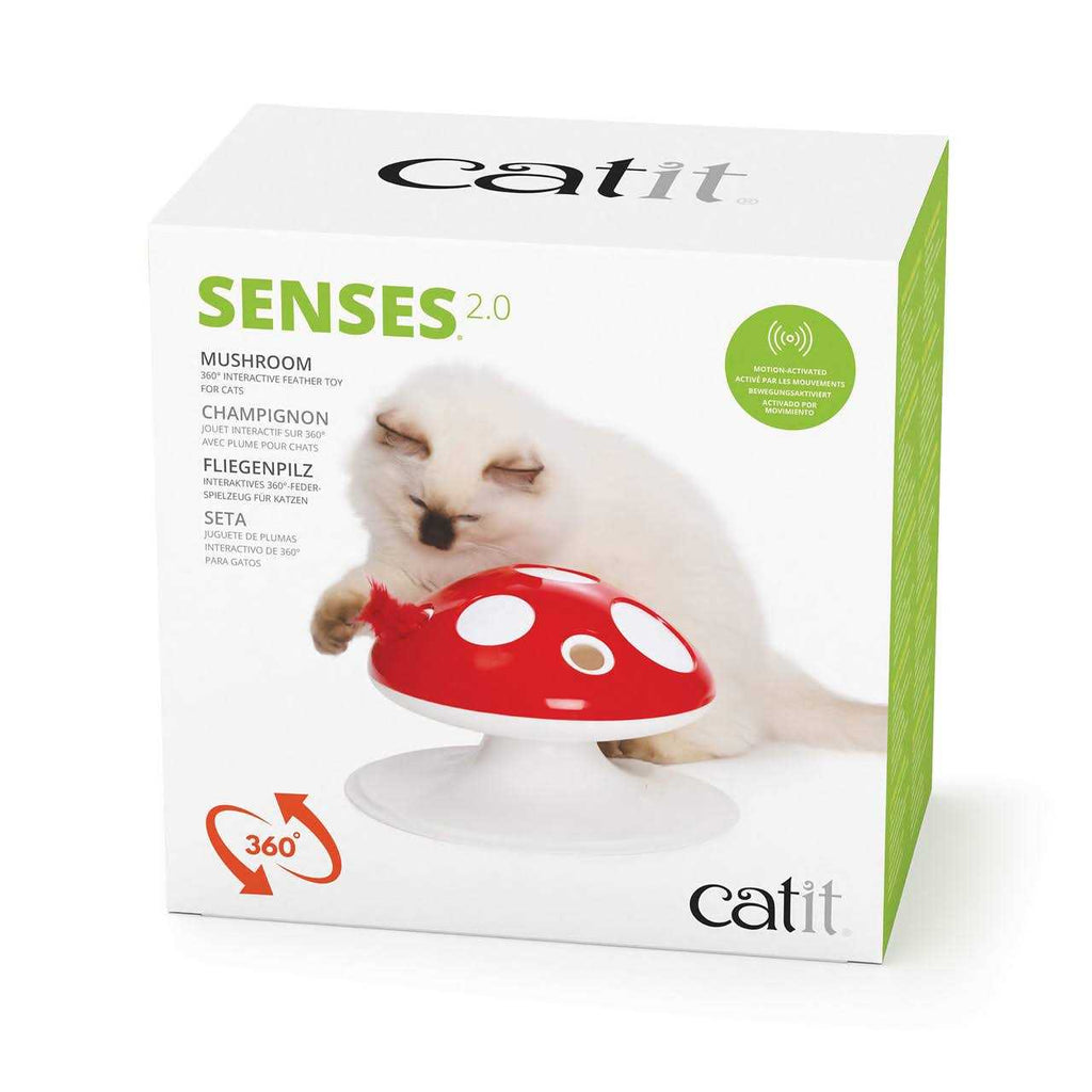 Interactive Cat Toy W641