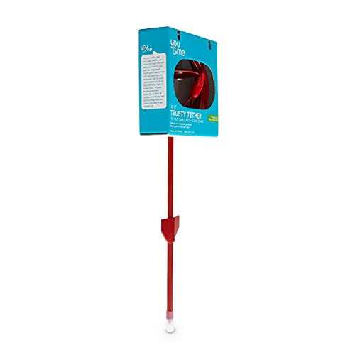 Red Powder-Coated Steel Pet Leash Post S74365
