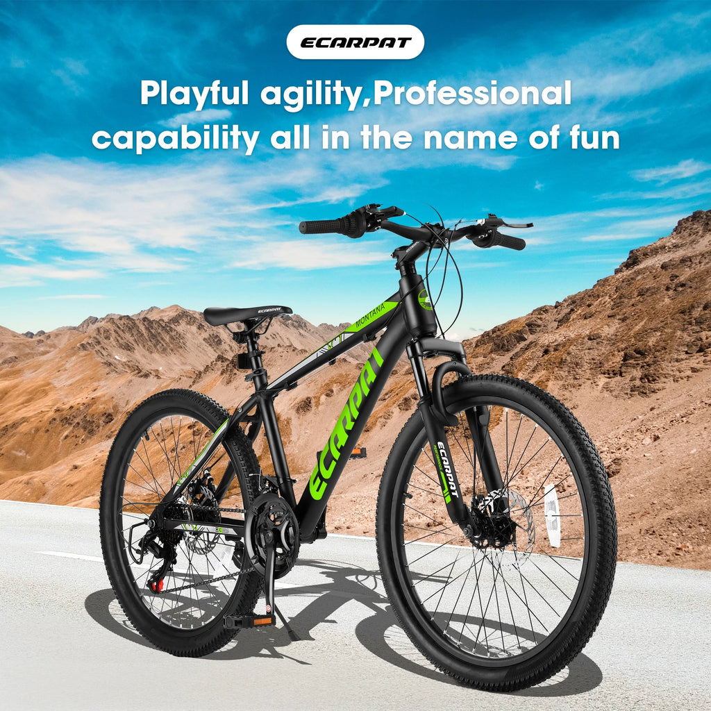 24 inch 21-Speed Aluminium Mountain Bike F5654