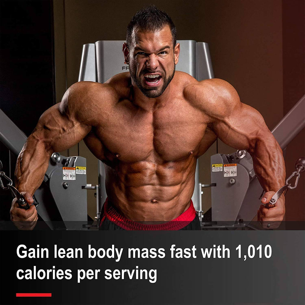 Vanilla 12 lb Mass Gainer P58039