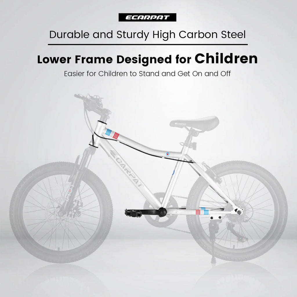 20 inch 7 Speed Kids Bicycle Y7690