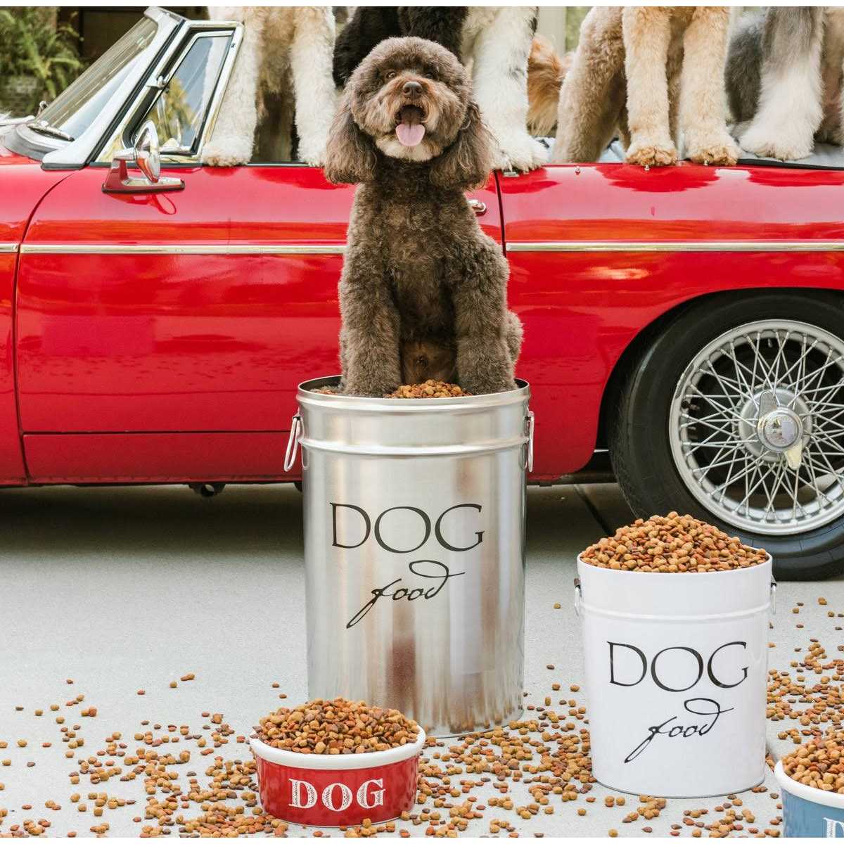 Classic Dog Food Storage Canister X19402
