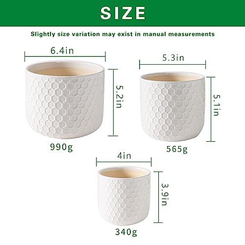 Ceramic Planters with Drainage Hole, Set of 3, Creamy-White H106