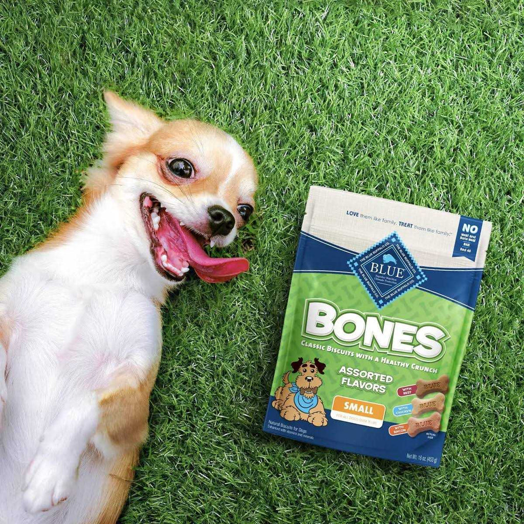 Bones Biscuits S199760