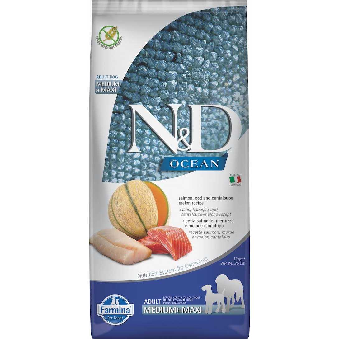 Lamb & Blueberry Puppy Dry Dog Food W527