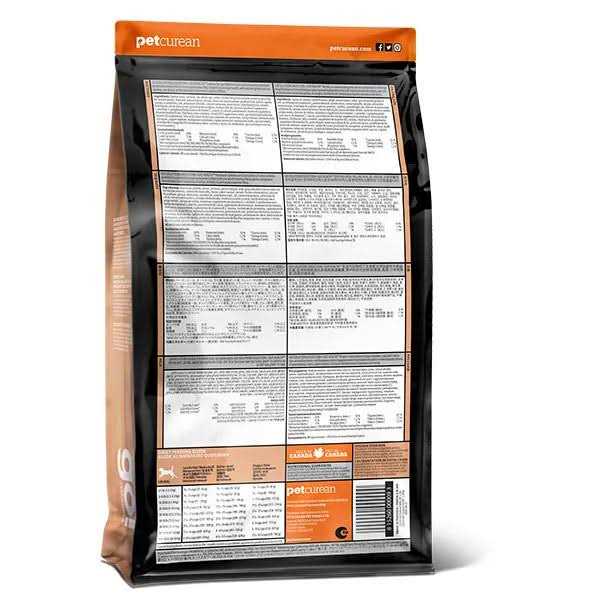 Salmon Recipe with Ancient Grains Dog Food N783807