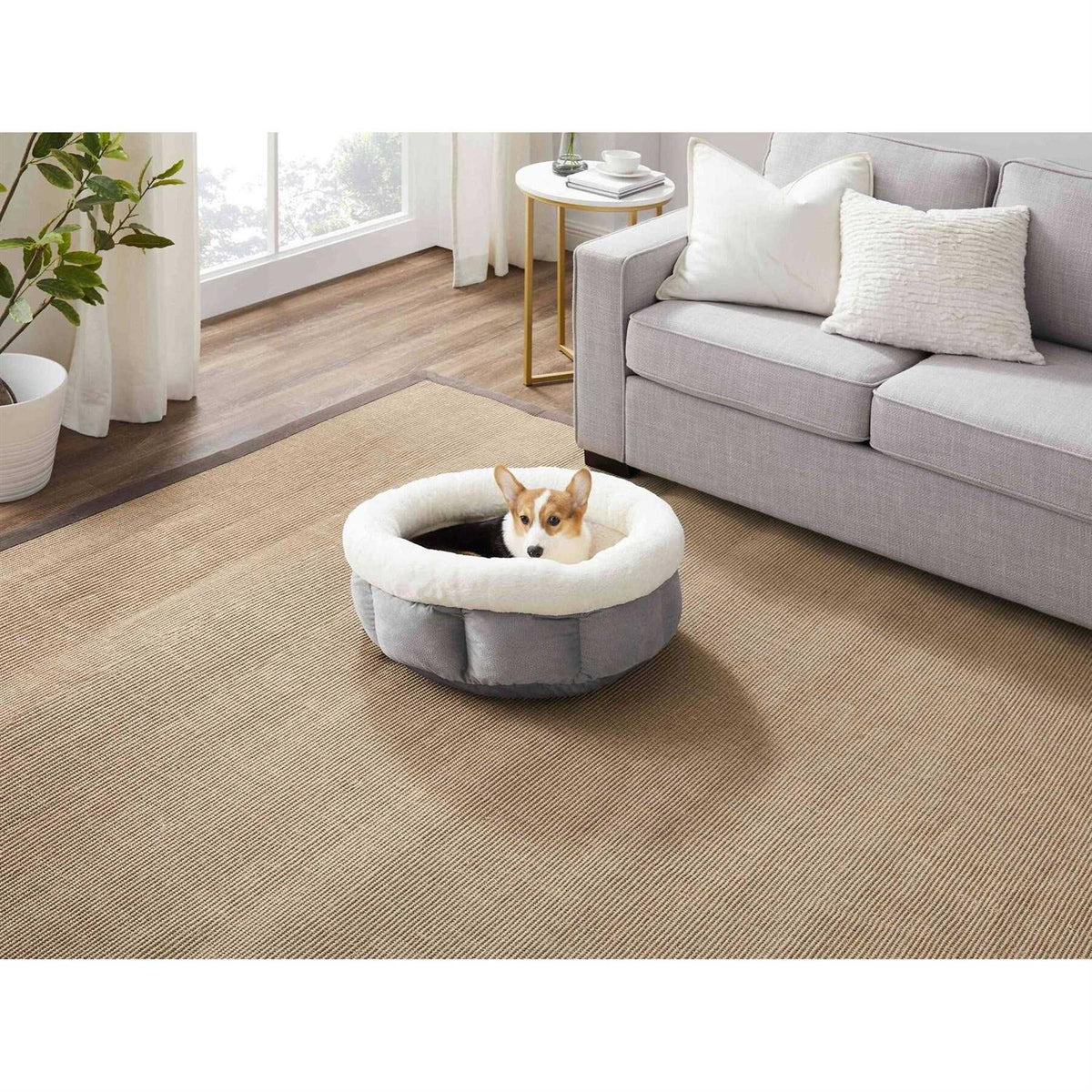 Dog Bed I679465