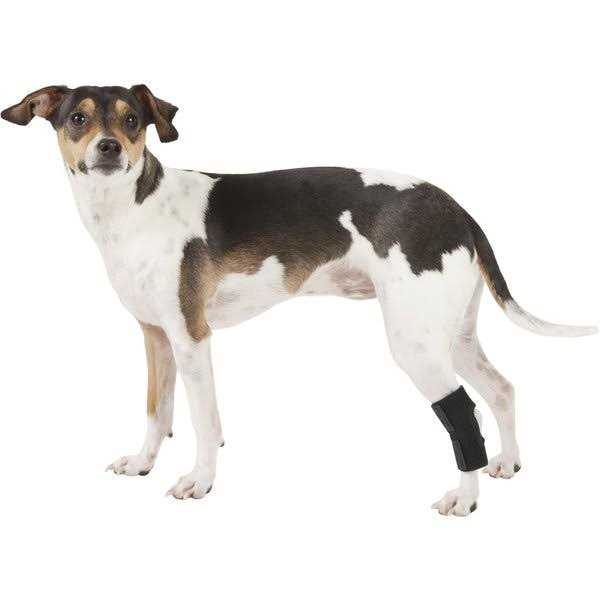 Dog Rear Leg Hock Joint Wrap Brace X38690