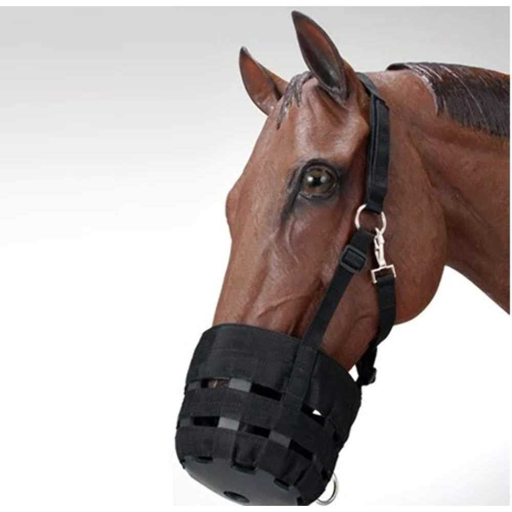 Nylon Halter Grazing Muzzle D595380