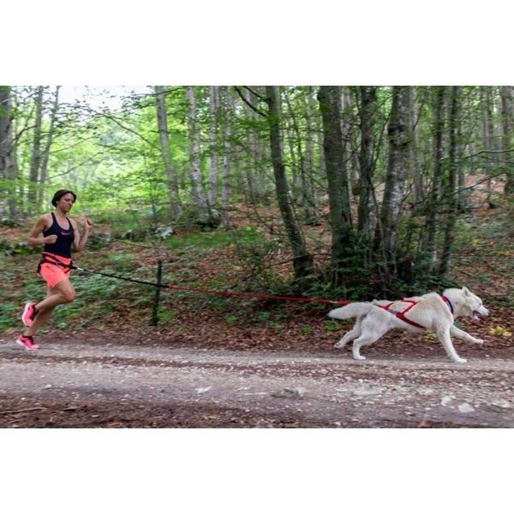 Dog Pulling Harness Y7635