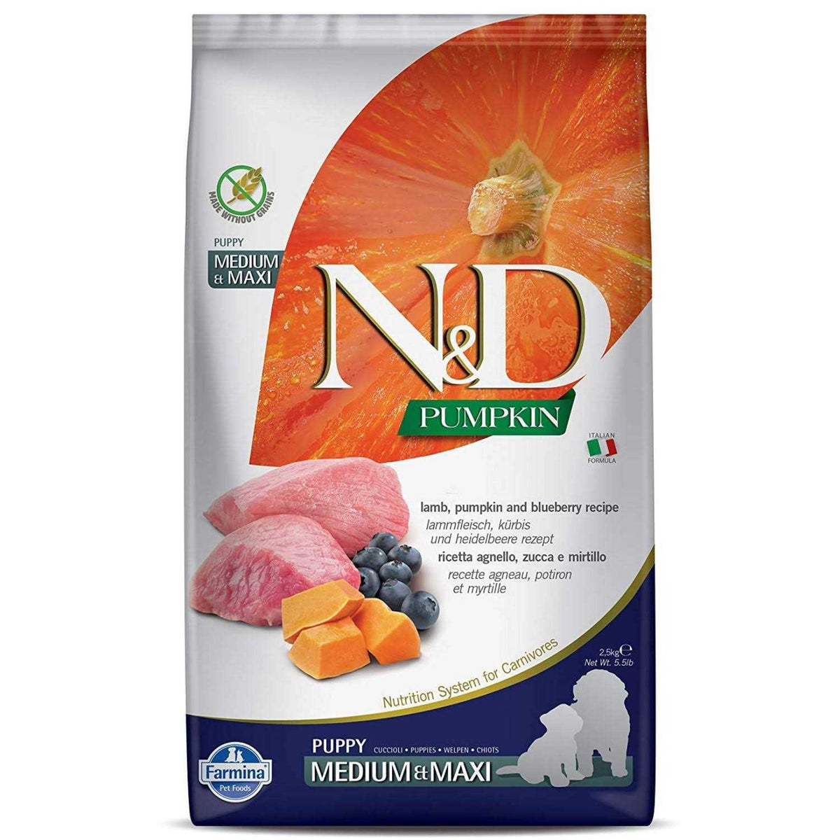 Lamb & Blueberry Puppy Dry Dog Food W527