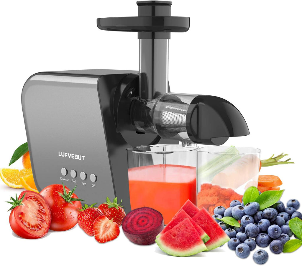 Slow Masticating Juicer Extractor with Cleaning Brush D869