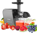 Slow Masticating Juicer Extractor with Cleaning Brush D869