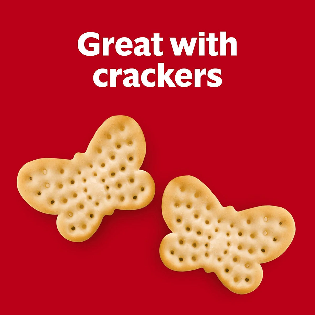 Condensed Beef Consomme 10.5 Ounce Can F78997